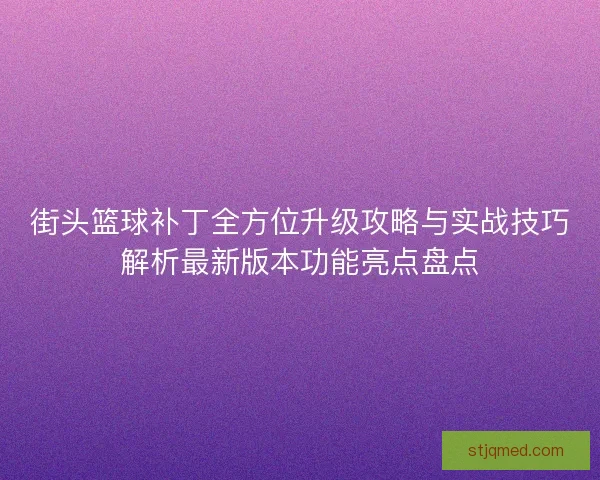街头篮球补丁全方位升级攻略与实战技巧解析最新版本功能亮点盘点