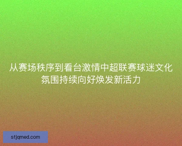 从赛场秩序到看台激情中超联赛球迷文化氛围持续向好焕发新活力
